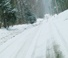 Snowy Road