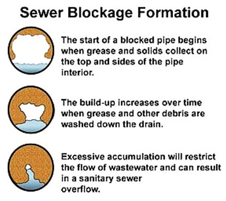 Sewer Blockage Formation